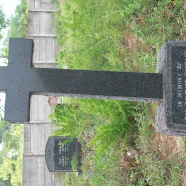 TIMVEOS Michael -1971