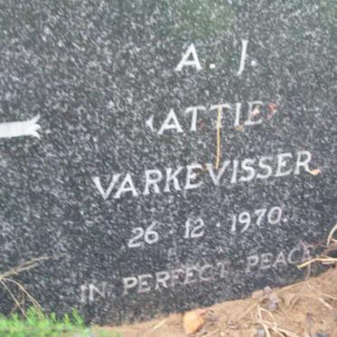 VARKEVISSER A.J. -1970