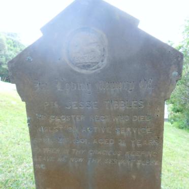 TIBBLES Jessie -1901